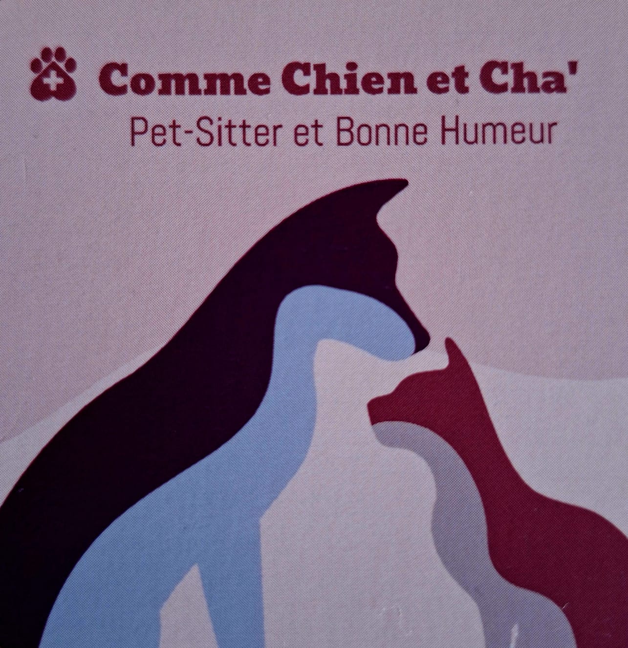 Comme Chien et Cha